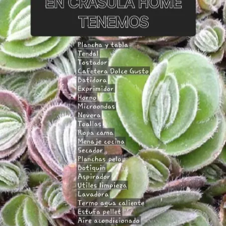 Ferienhaus Crasula Viérnoles